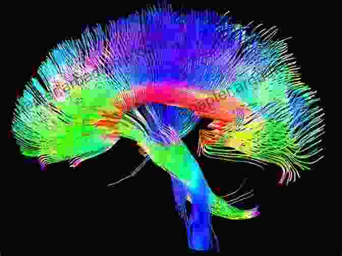 A Colorful Brain Scan, Highlighting The Intricate Neural Connections Within The Human Brain. Biological Psychology (Critical Thinking In Psychology 1395)