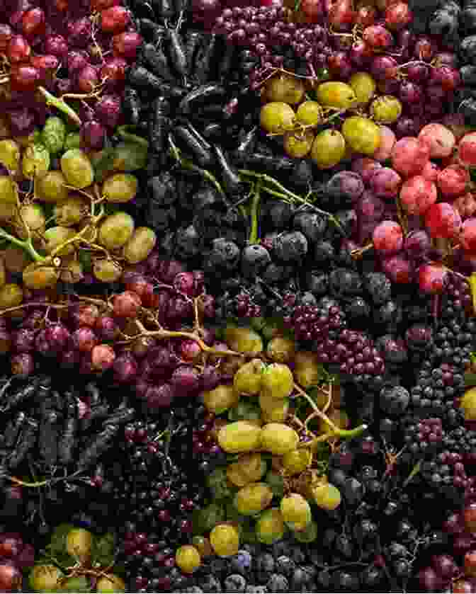 A Display Of Different Grape Varieties Grape: Fun Facts On Fruits And Vegetables 49