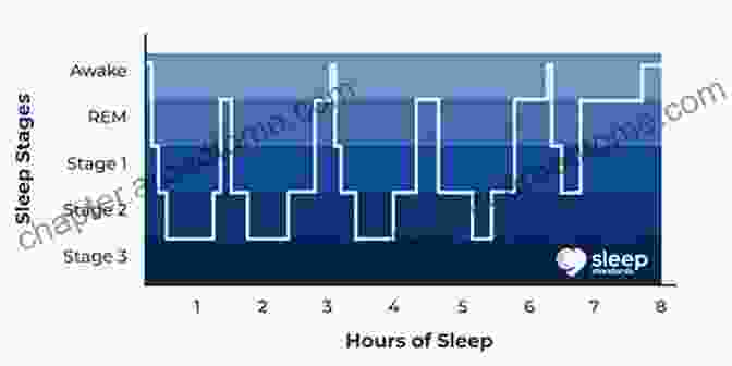 A Graph Showing The Different Stages Of Sleep. Sleep: A Very Short (Very Short s)