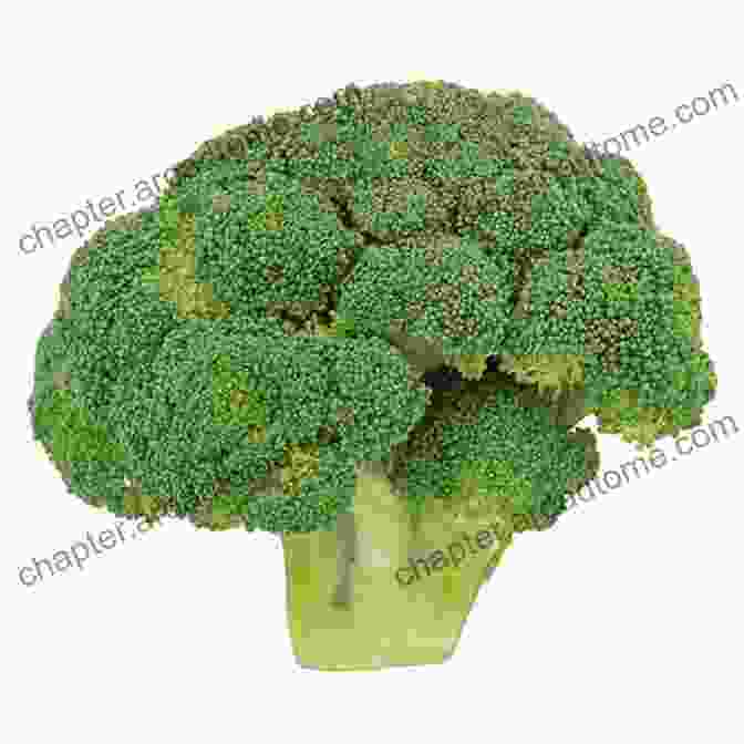 A Head Of Broccoli Cucumber: A Short Illustrated Of Facts To Help Children Understand Fruits And Vegetables Illustrated And Educational For Children Aged 4 To 10 Years (Fun Facts On Fruits And Vegetables)