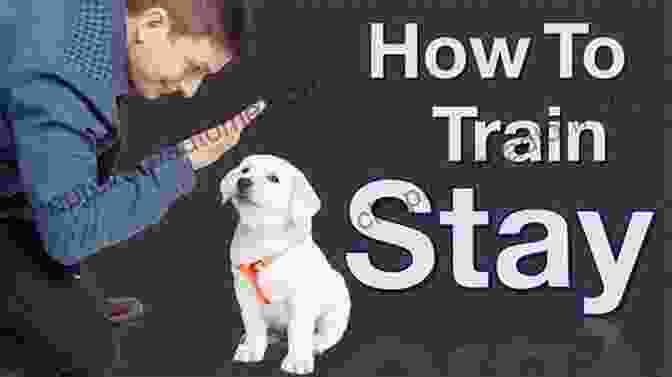 A Man Training A Dog To Stay Integrated Dog Training: The Commonsense Visual Guide To Training Any Dog