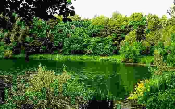 A Peaceful Scene Of A Tranquil Lake Surrounded By Lush Greenery, Capturing The Essence Of Living In Harmony: Embracing The Present Moment, Cultivating Inner Peace, And Connecting With The Rhythms Of Nature. Summary Of Lao Tzu John Minford S Book: Tao Te Ching: The Essential Translation Of The Ancient Chinese Of The Tao