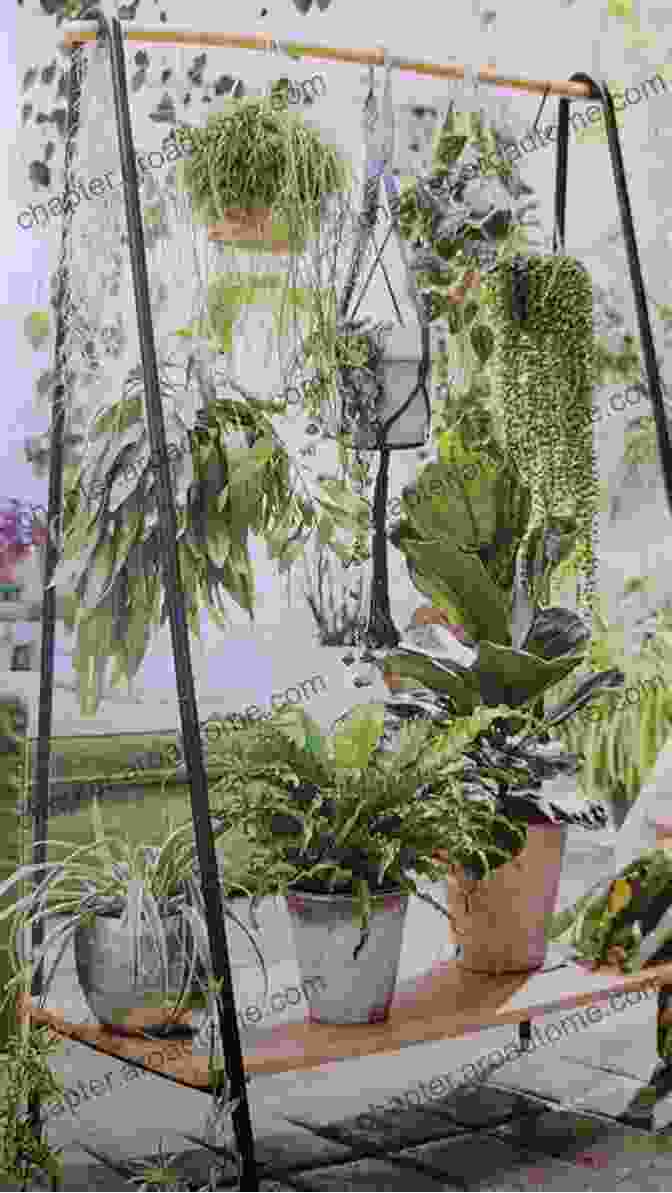 A Photograph Of Zia Allaway, Smiling And Surrounded By Lush Houseplants. Practical Houseplant Zia Allaway