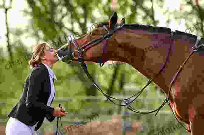 A Rider And Horse Communicating With Each Other Through Body Language Five Tips For A More Powerful Ride