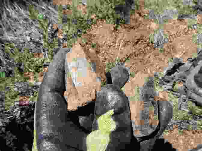 A Rockhound Examining A Geode Found At A Montana Rockhounding Site. Rockhounding Montana 2nd: A Guide To 91 Of Montana S Best Rockhounding Sites (Rockhounding Series)