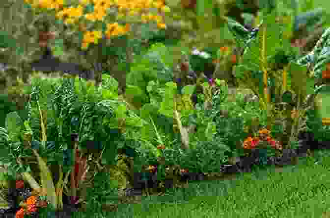 A Vibrant Garden Displaying The Benefits Of Companion Planting, Where Different Species Coexist Harmoniously, Enhancing Growth And Deterring Pests. GrowVeg: The Beginner S Guide To Easy Vegetable Gardening