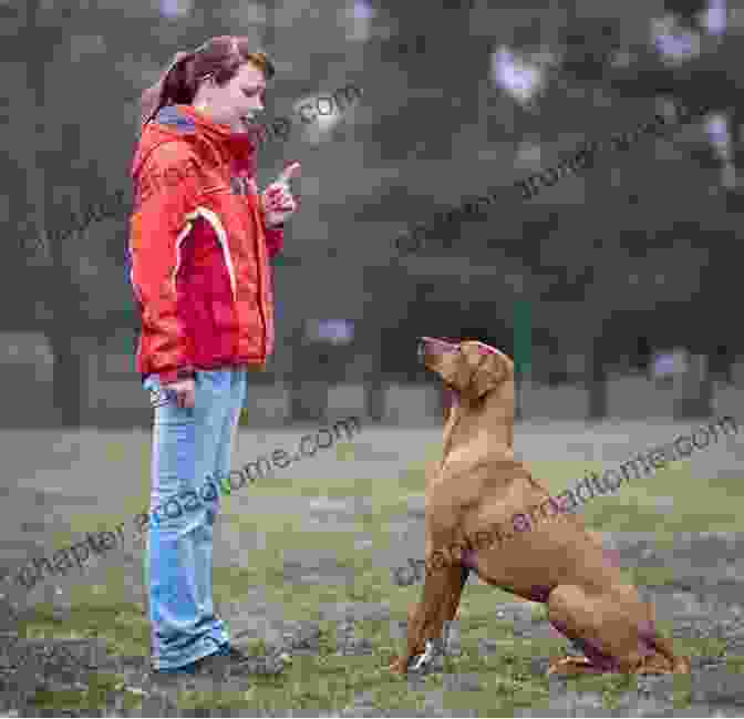 A Woman Training A Dog To Come Integrated Dog Training: The Commonsense Visual Guide To Training Any Dog