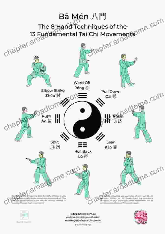 Animation Of Tai Chi Movements From Different Forms Tai Chi Chuan Form To Fuction