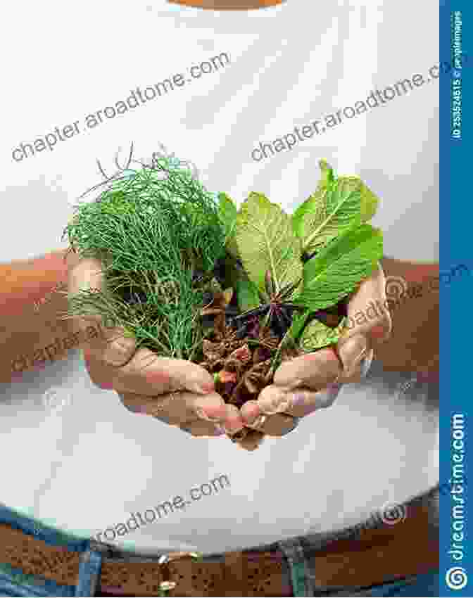 Close Up Image Of A Person Holding A Variety Of Herbs In Their Hands, With A Focus On The Intricate Details And Vibrant Colors Of The Plants. Flower Essences From The Witch S Garden: Plant Spirits In Magickal Herbalism