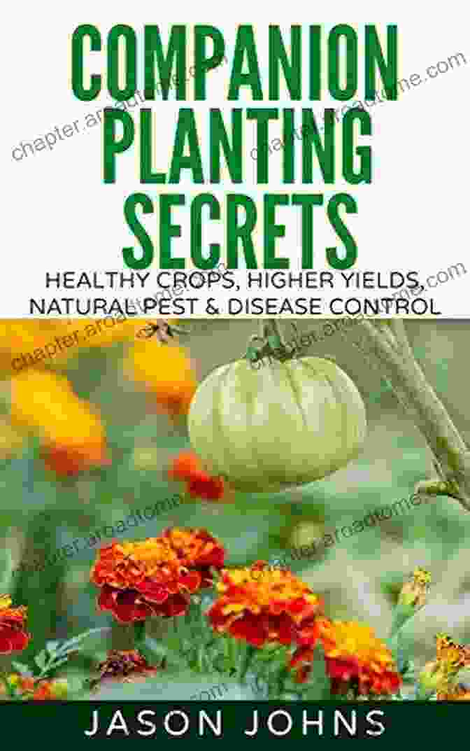 Companion Planting To Enhance Growth And Deter Pests Growing Under Cover: Techniques For A More Productive Weather Resistant Pest Free Vegetable Garden