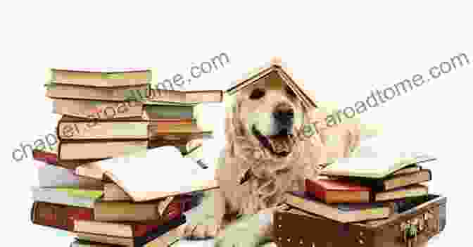 Dog Owner Reading Book About Dogs What Is A Dog? Raymond Coppinger