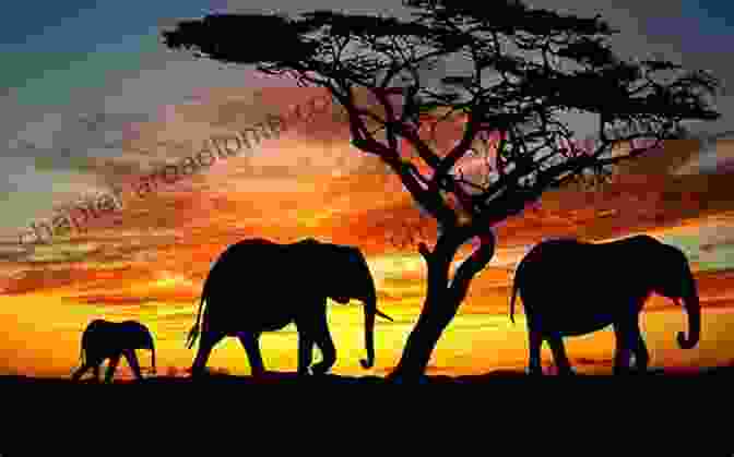 Elephant Family In The Sunset When Giants Walked The Earth: A Biography Of Led Zeppelin