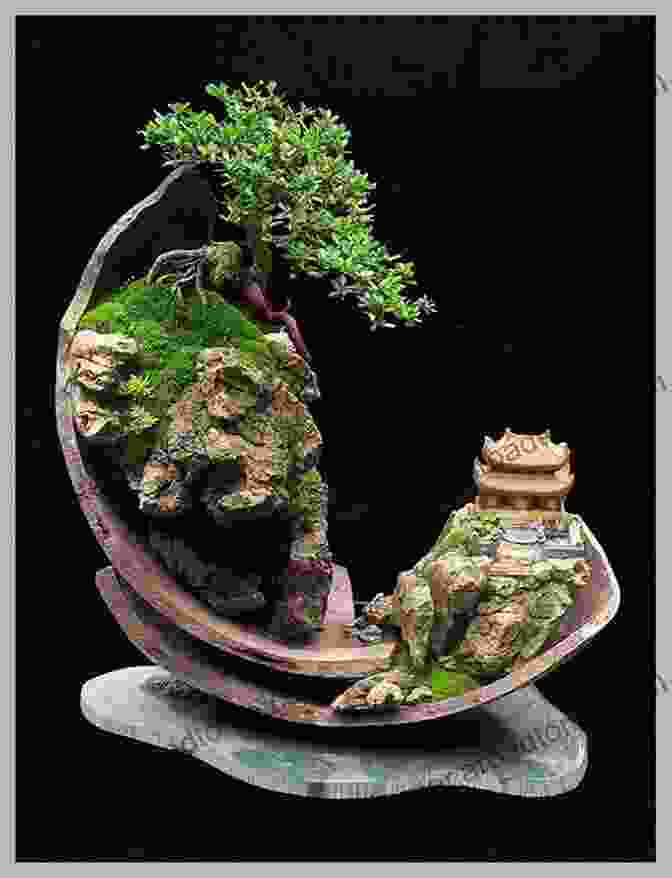 Exquisite Bonsai Tree In A Miniature Pot Miniature Moss Gardens: Create Your Own Japanese Container Gardens (Bonsai Kokedama Terrariums Dish Gardens)