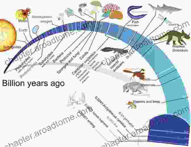 Flow Chart Depicting The Geologic Time Scale From Hadean To Holocene All The Rough Beasts: The Death Of The Earth Part 1