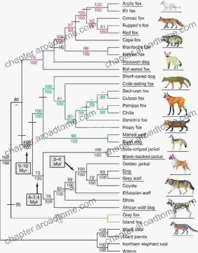 Genetic Diversity Within The Canidae Family Canine Transcendence: The Scientific Impact Of The Canidae Species