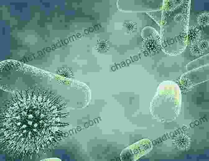 Image Of Bacteria And Virus Representing Co Infections Prevention Of Treatment Failure: The Use Of Measuring Monitoring And Feedback In Clinical Practice