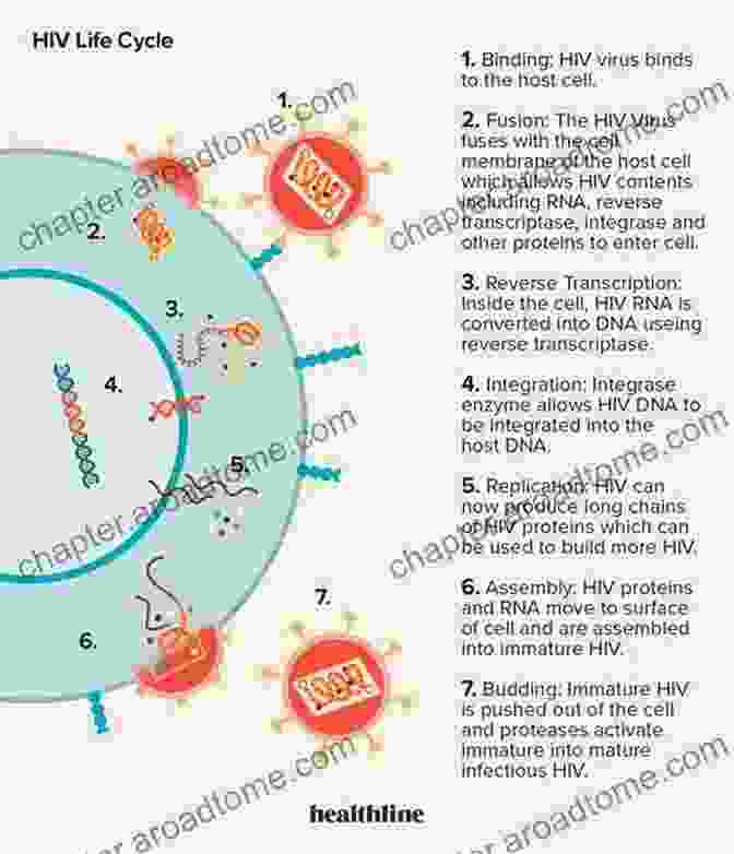 Image Of HIV Virus Developing Resistance To Medications Prevention Of Treatment Failure: The Use Of Measuring Monitoring And Feedback In Clinical Practice