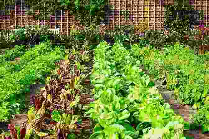 Panoramic View Of A Flourishing Vegetable Garden With Lush Rows Of Vibrant Vegetables And Blooming Flowers. GrowVeg: The Beginner S Guide To Easy Vegetable Gardening