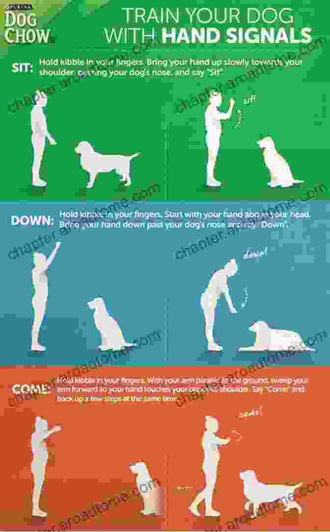 Person Training Dog With Hand Signals What Is A Dog? Raymond Coppinger