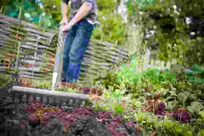 Preparing Healthy Soil For The Vegetable Garden Growing Under Cover: Techniques For A More Productive Weather Resistant Pest Free Vegetable Garden