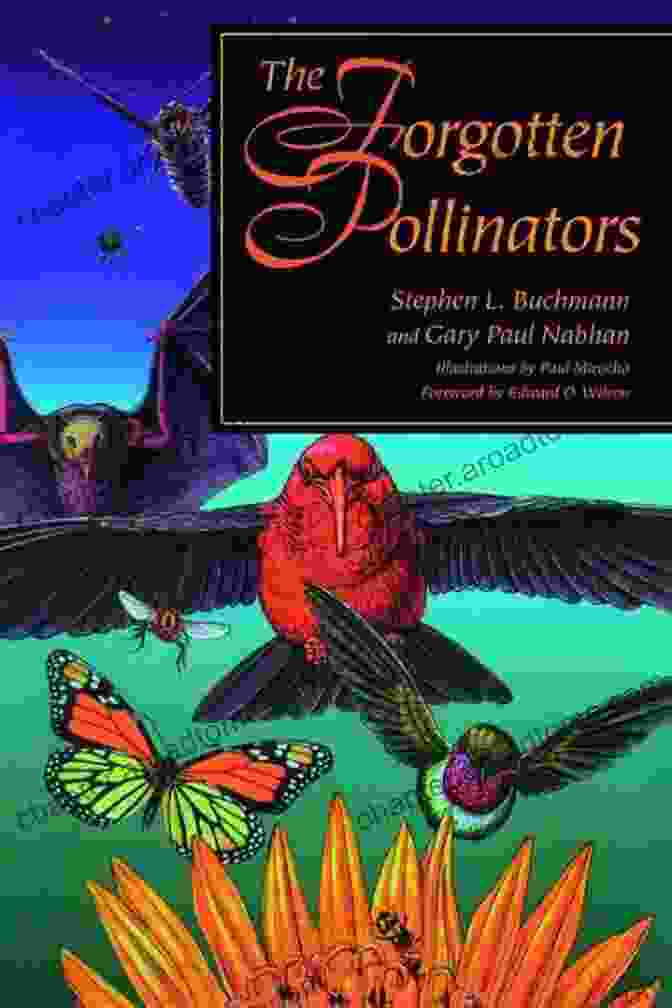 The Forgotten Pollinators Book Cover By Stephen Buchmann The Forgotten Pollinators Stephen L Buchmann