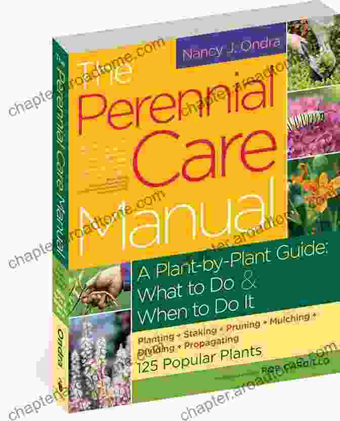 The Perennial Care Manual Book Cover The Perennial Care Manual: A Plant By Plant Guide: What To Do When To Do It