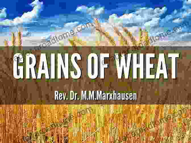 The Theme Of Liberation In Grain Of Wheat A Grain Of Wheat (Penguin African Writers 2)