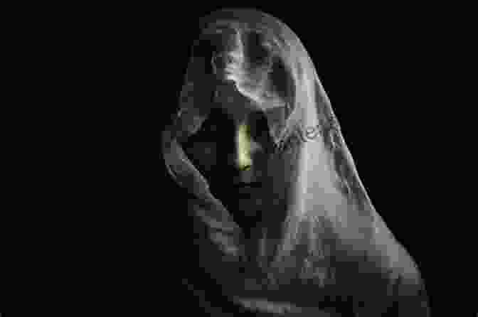 The Truth Within The Lies Book Cover With A Woman's Face Obscured By A Veil, Symbolizing The Hidden Truth Behind The Lies The Truth Within The Lies: Discovering Chris Watts: The Theories Part Three