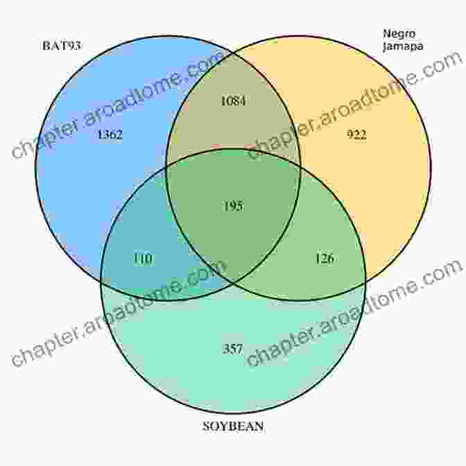 Venn Diagram Showing The Overlapping Areas Between Health And Medicine Embodying Inequality: Epidemiologic Perspectives (Policy Politics Health And Medicine Series)