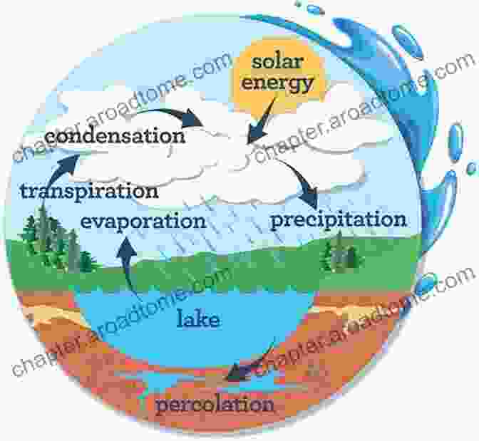 Water Is Water: About The Water Cycle Water Is Water: A About The Water Cycle