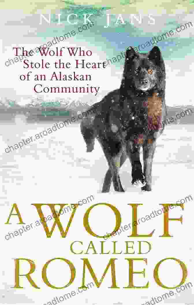 Wolf Called Romeo By Nick Jans A Wolf Called Romeo Nick Jans