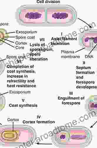 Bacterial Growth And Division: Biochemistry And Regulation Of Prokaryotic And Eukaryotic Division Cycles