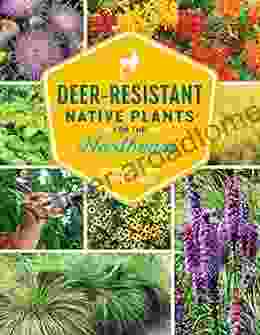 Deer Resistant Native Plants for the Northeast