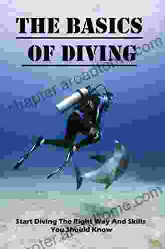 The Basics Of Diving: Start Diving The Right Way And Skills You Should Know