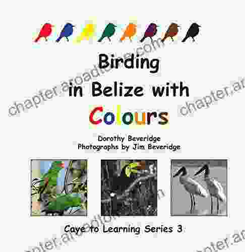 Birding In Belize With Colours (Caye To Learning)