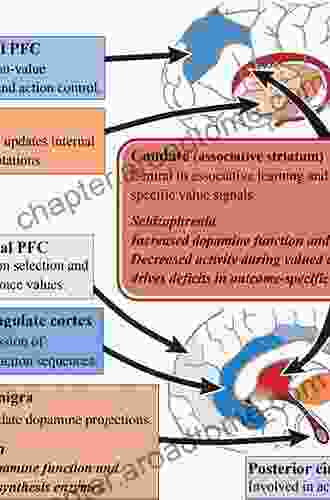 Dopamine In The Pathophysiology And Treatment Of Schizophrenia: New Findings