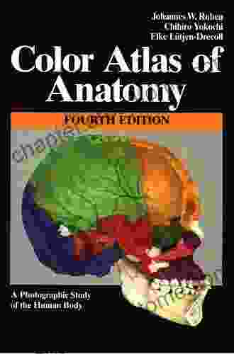 Color Atlas Of Anatomy: A Photographic Study Of The Human Body (Color Atlas Of Anatomy A Photographic Study Of The Human Body)