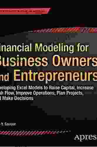 Financial Modeling For Business Owners And Entrepreneurs: Developing Excel Models To Raise Capital Increase Cash Flow Improve Operations Plan Projects And Make Decisions