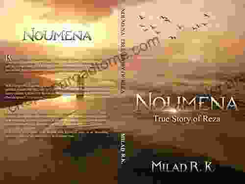 Noumena: True Story Of Reza