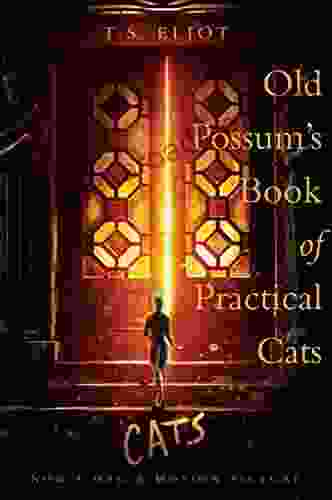 Old Possum S Of Practical Cats