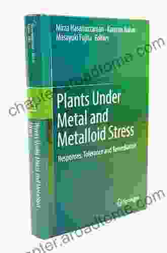 Plants Under Metal And Metalloid Stress: Responses Tolerance And Remediation