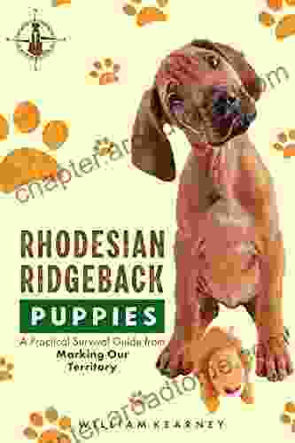 Rhodesian Ridgeback Puppies: A Practical Survival Guide from Marking Our Territory