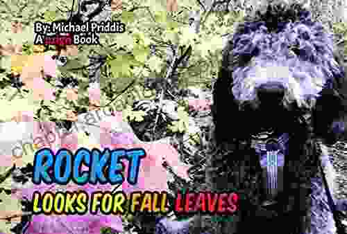 Rocket Looks For Fall Leaves: Hiking In The Fall