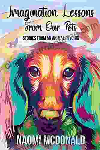 Imagination Lessons From Our Pets: Stories From An Animal Psychic (Lessons From An Animal Communicator 2)