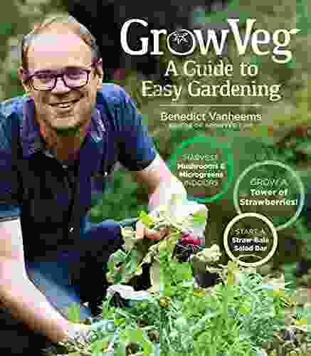 GrowVeg: The Beginner S Guide To Easy Vegetable Gardening