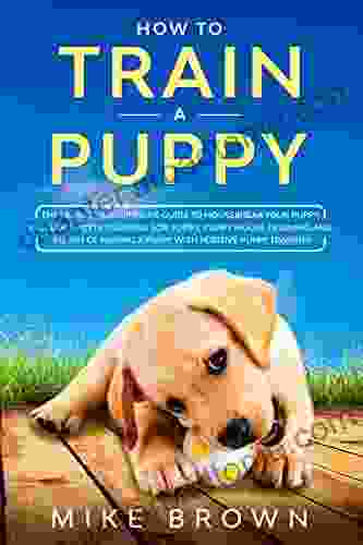 How To Train A Puppy: The Definitive Beginner S Guide To Housebreak Your Puppy Includes Potty Training For Puppy Puppy House Training And The Art Of Raising A Puppy With Positive Puppy Training