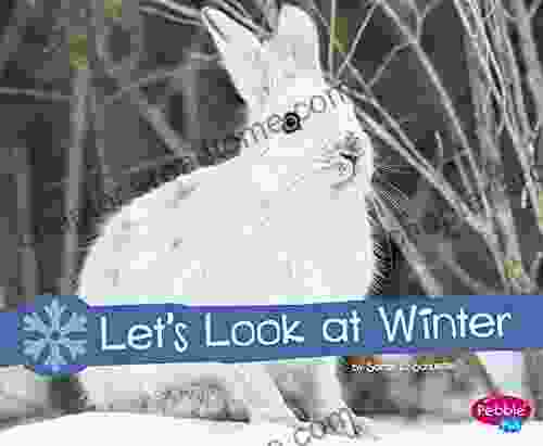 Let S Look At Winter: A 4D (Investigate The Seasons)