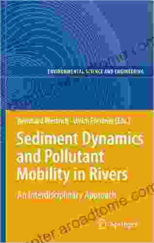 Sediment Dynamics And Pollutant Mobility In Rivers: An Interdisciplinary Approach (Environmental Science And Engineering)