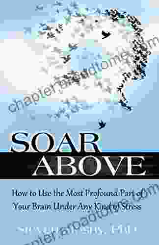 Soar Above: How To Use The Most Profound Part Of Your Brain Under Any Kind Of Stress