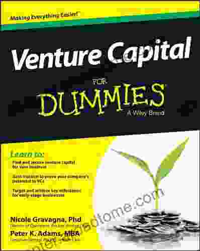 Venture Capital For Dummies Nicole Gravagna